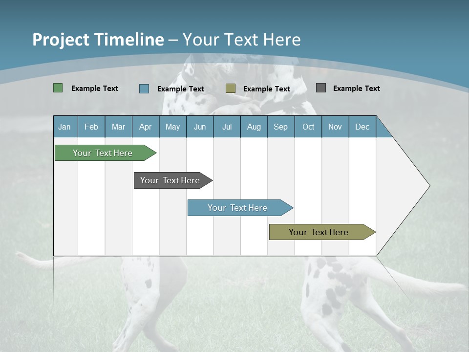 Two Dalmatian Dogs Playing With Each Other In The Grass PowerPoint Template