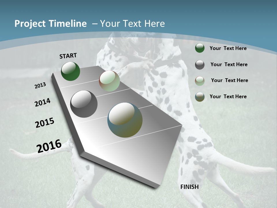 Two Dalmatian Dogs Playing With Each Other In The Grass PowerPoint Template