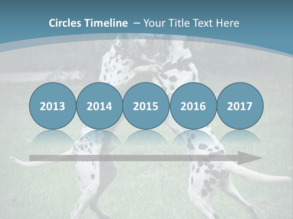 Two Dalmatian Dogs Playing With Each Other In The Grass PowerPoint Template