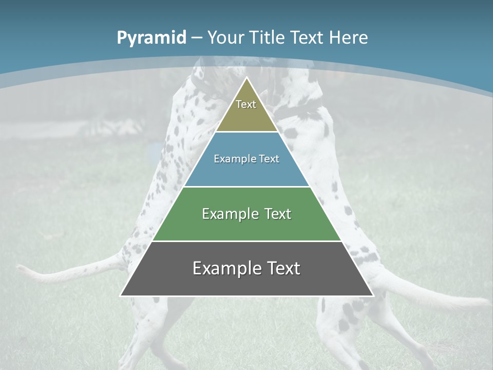 Two Dalmatian Dogs Playing With Each Other In The Grass PowerPoint Template