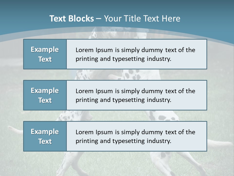 Two Dalmatian Dogs Playing With Each Other In The Grass PowerPoint Template