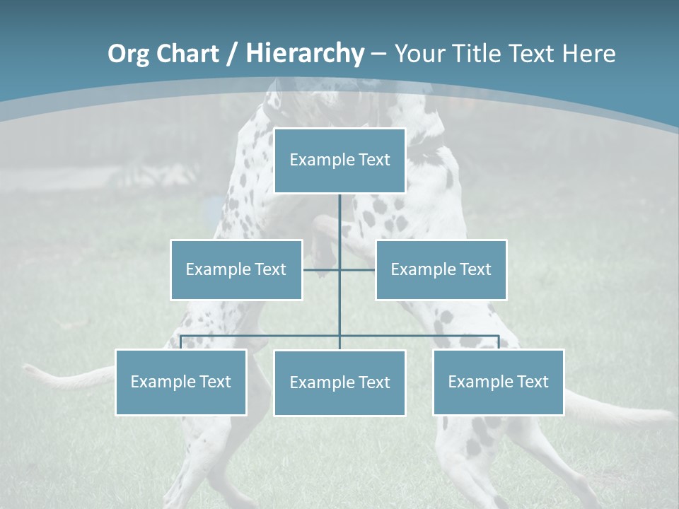 Two Dalmatian Dogs Playing With Each Other In The Grass PowerPoint Template