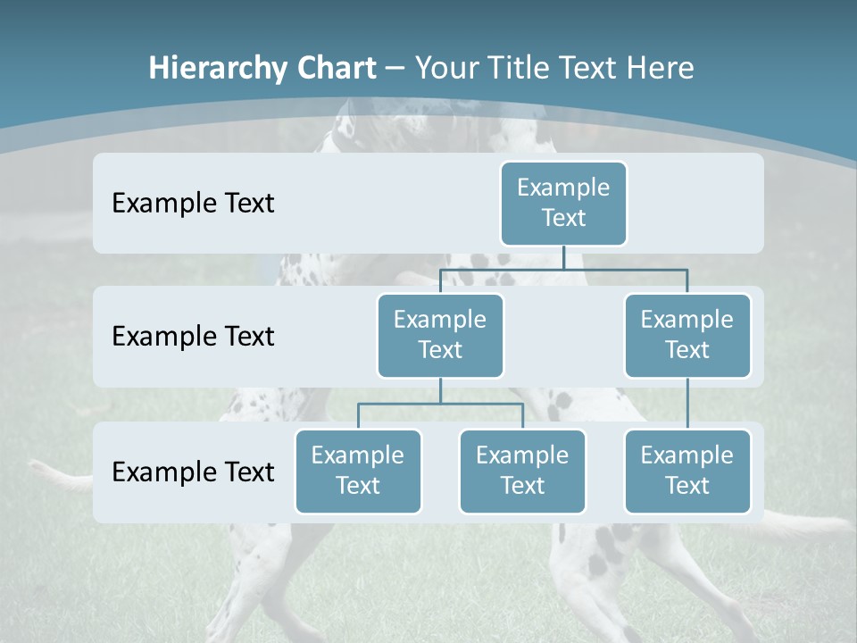 Two Dalmatian Dogs Playing With Each Other In The Grass PowerPoint Template