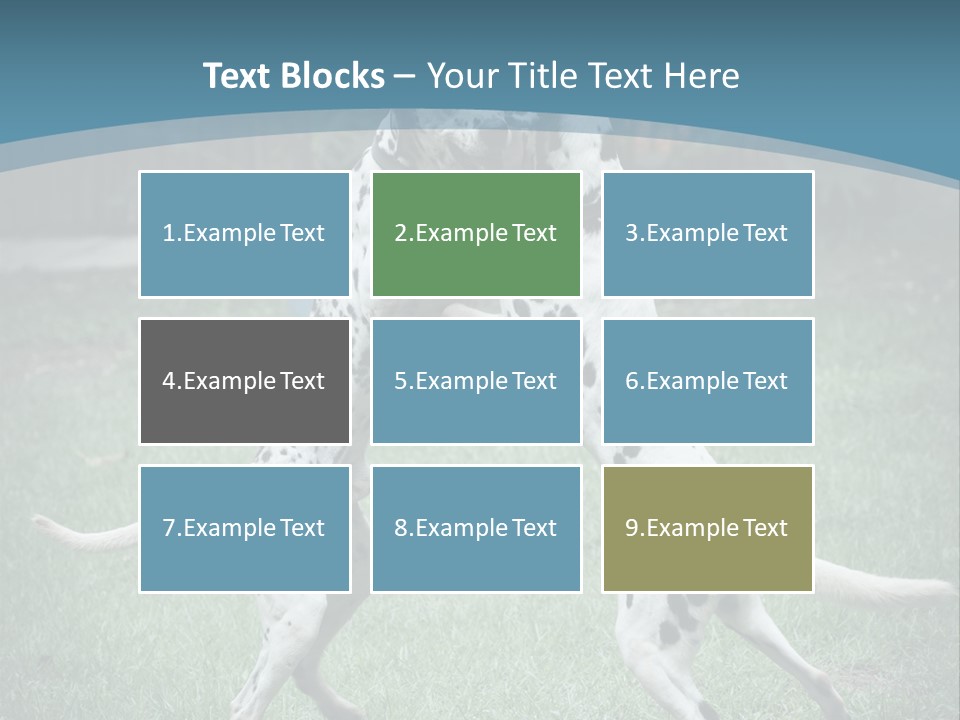 Two Dalmatian Dogs Playing With Each Other In The Grass PowerPoint Template