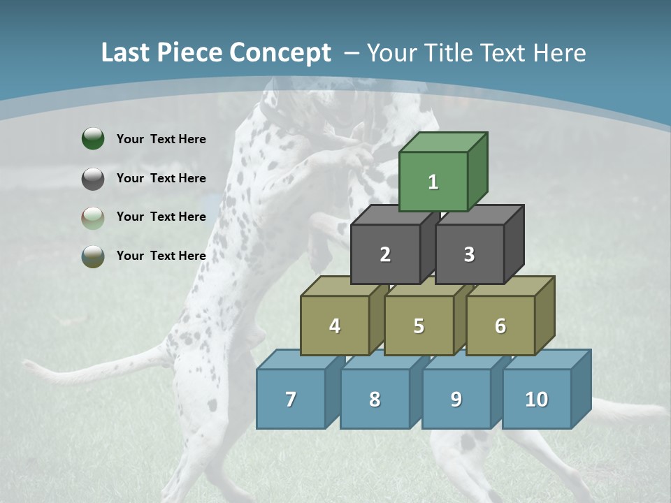 Two Dalmatian Dogs Playing With Each Other In The Grass PowerPoint Template