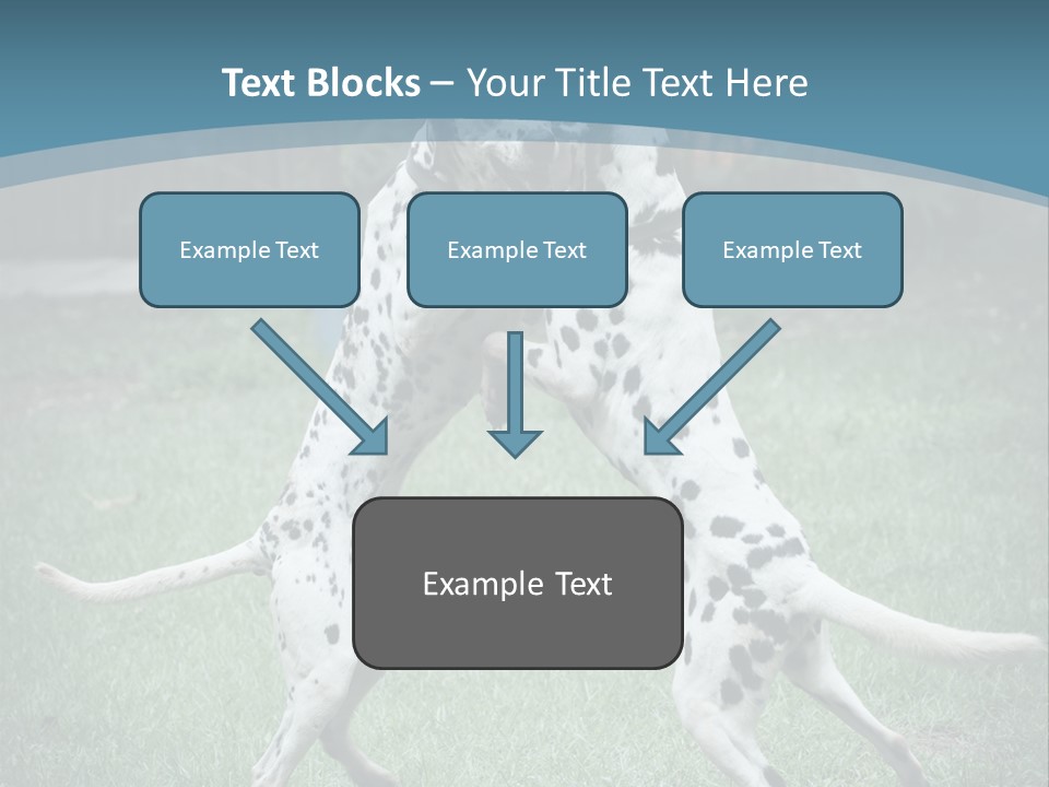 Two Dalmatian Dogs Playing With Each Other In The Grass PowerPoint Template