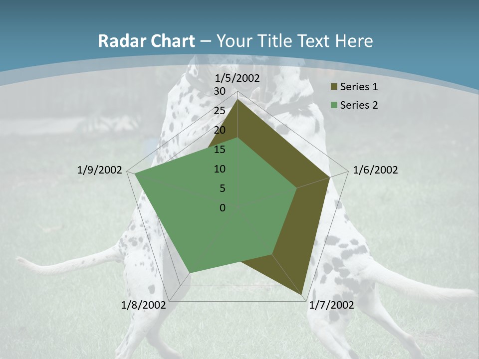 Two Dalmatian Dogs Playing With Each Other In The Grass PowerPoint Template