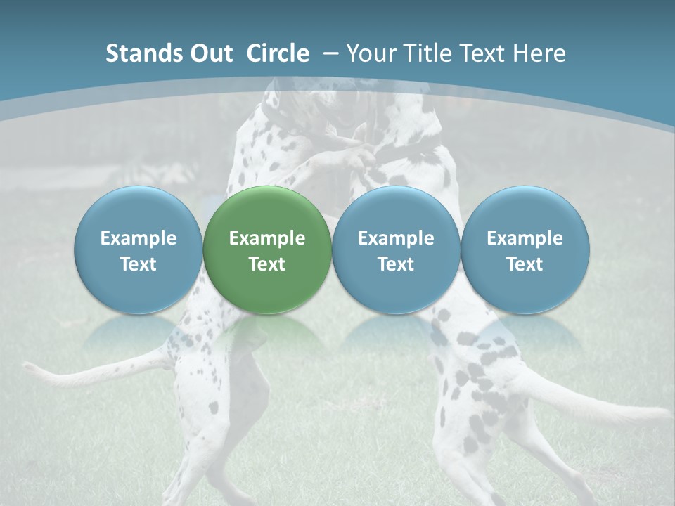 Two Dalmatian Dogs Playing With Each Other In The Grass PowerPoint Template