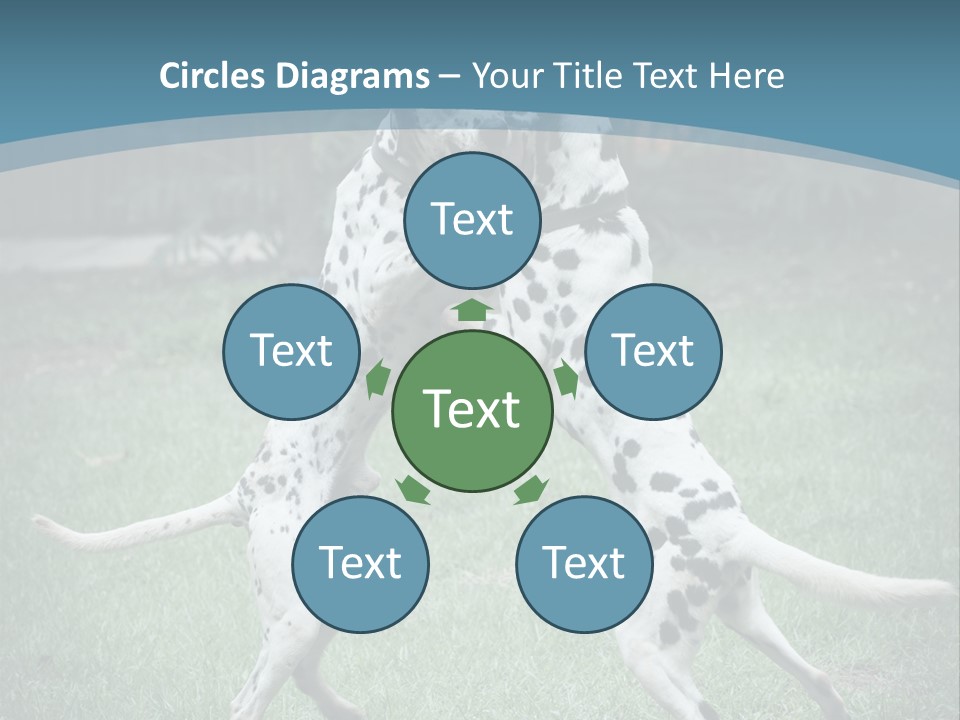 Two Dalmatian Dogs Playing With Each Other In The Grass PowerPoint Template