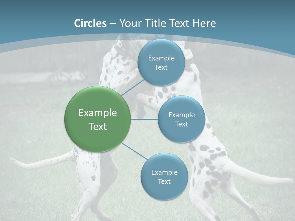 Two Dalmatian Dogs Playing With Each Other In The Grass PowerPoint Template