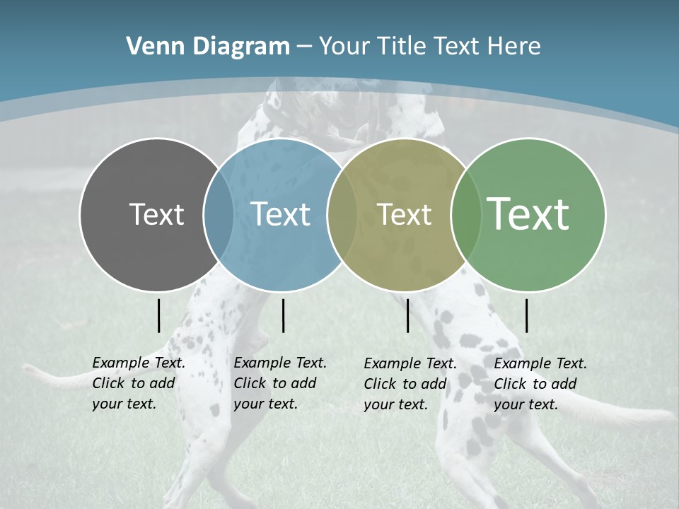 Two Dalmatian Dogs Playing With Each Other In The Grass PowerPoint Template