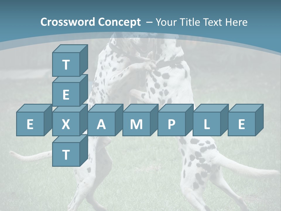 Two Dalmatian Dogs Playing With Each Other In The Grass PowerPoint Template