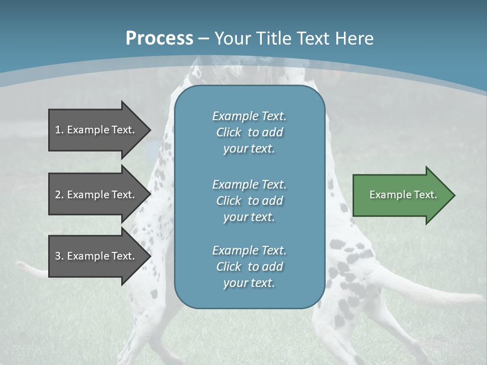 Two Dalmatian Dogs Playing With Each Other In The Grass PowerPoint Template