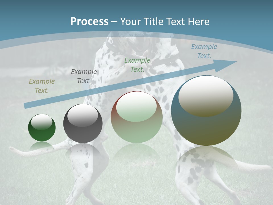 Two Dalmatian Dogs Playing With Each Other In The Grass PowerPoint Template