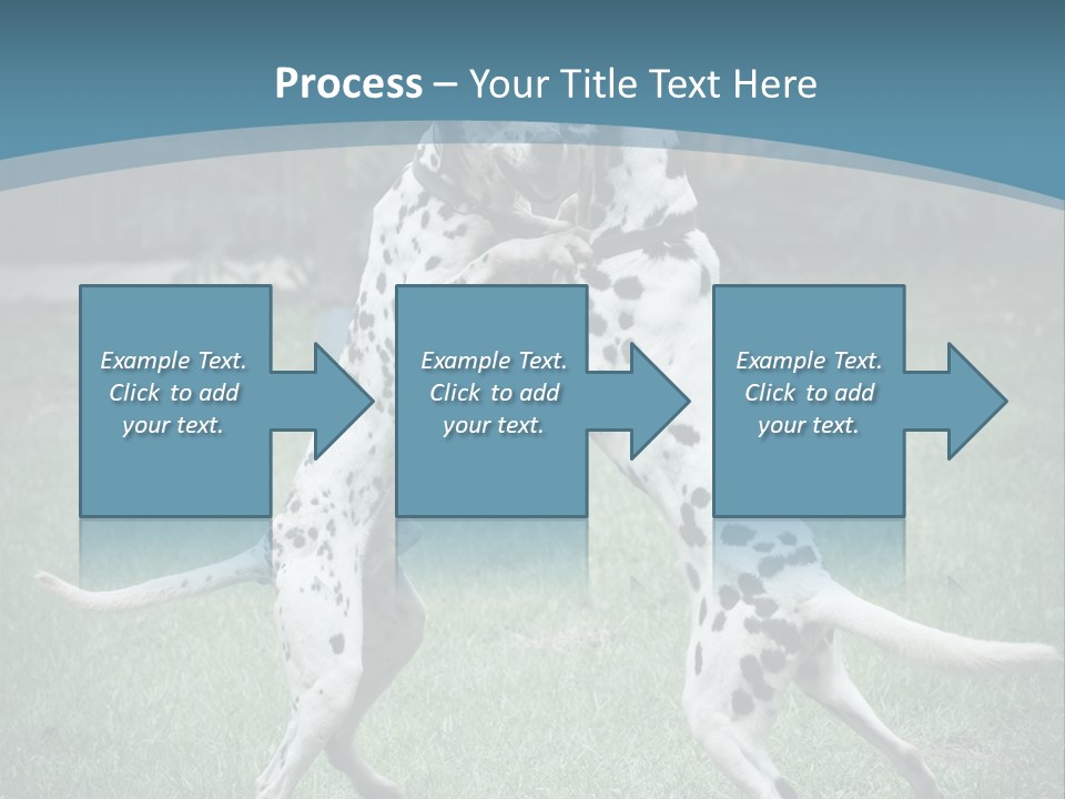 Two Dalmatian Dogs Playing With Each Other In The Grass PowerPoint Template