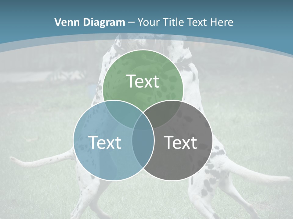 Two Dalmatian Dogs Playing With Each Other In The Grass PowerPoint Template