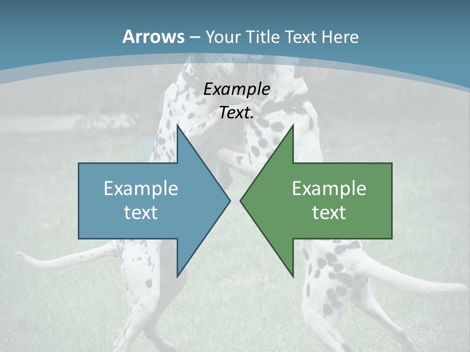 Two Dalmatian Dogs Playing With Each Other In The Grass PowerPoint Template