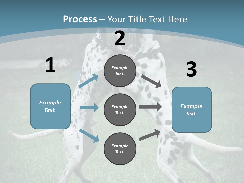 Two Dalmatian Dogs Playing With Each Other In The Grass PowerPoint Template