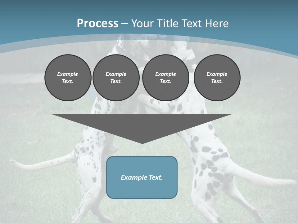 Two Dalmatian Dogs Playing With Each Other In The Grass PowerPoint Template