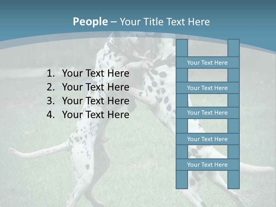 Two Dalmatian Dogs Playing With Each Other In The Grass PowerPoint Template