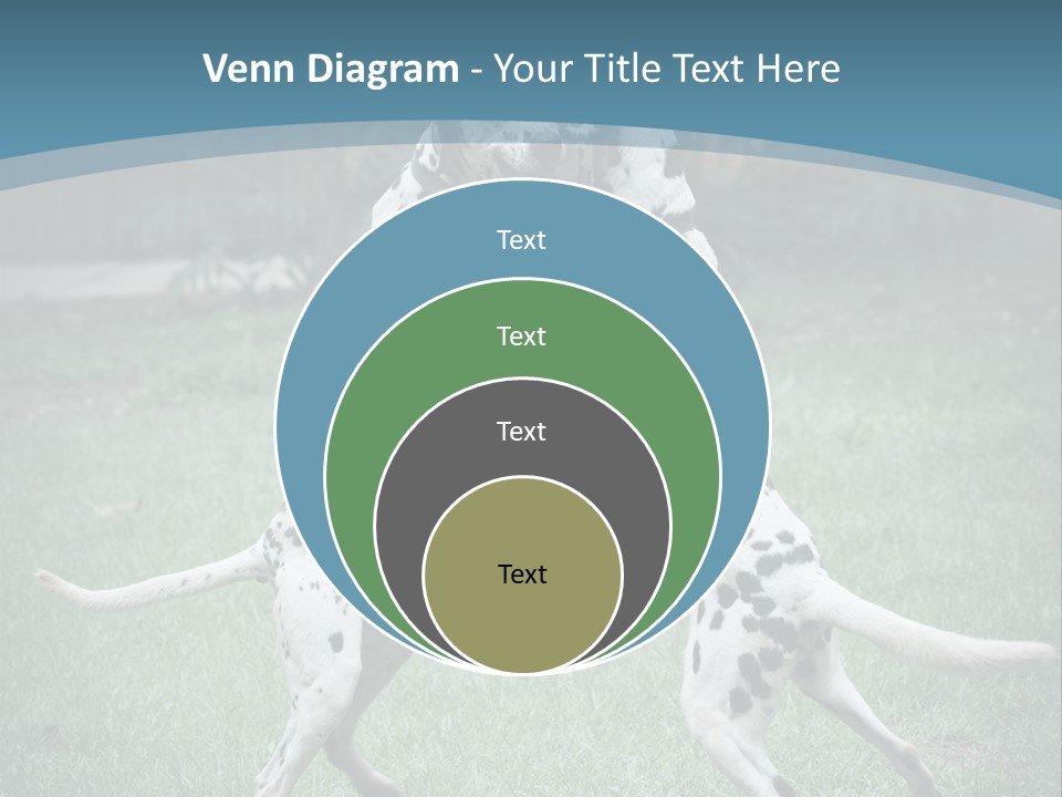 Two Dalmatian Dogs Playing With Each Other In The Grass PowerPoint Template