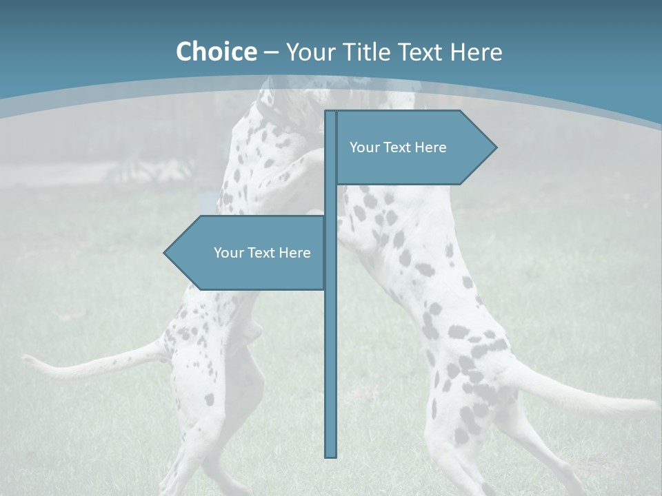 Two Dalmatian Dogs Playing With Each Other In The Grass PowerPoint Template