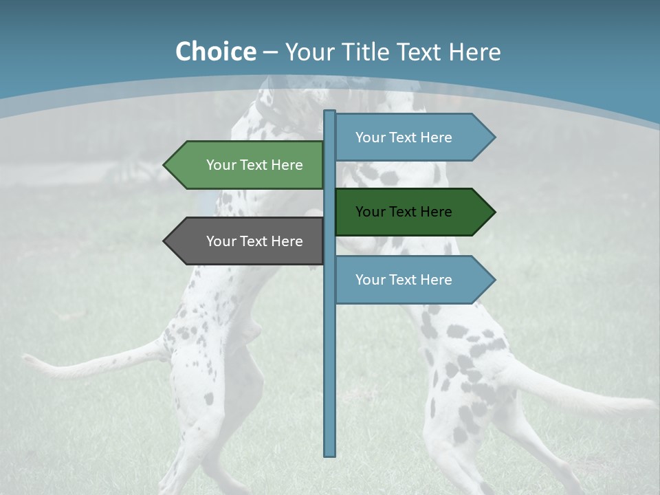 Two Dalmatian Dogs Playing With Each Other In The Grass PowerPoint Template