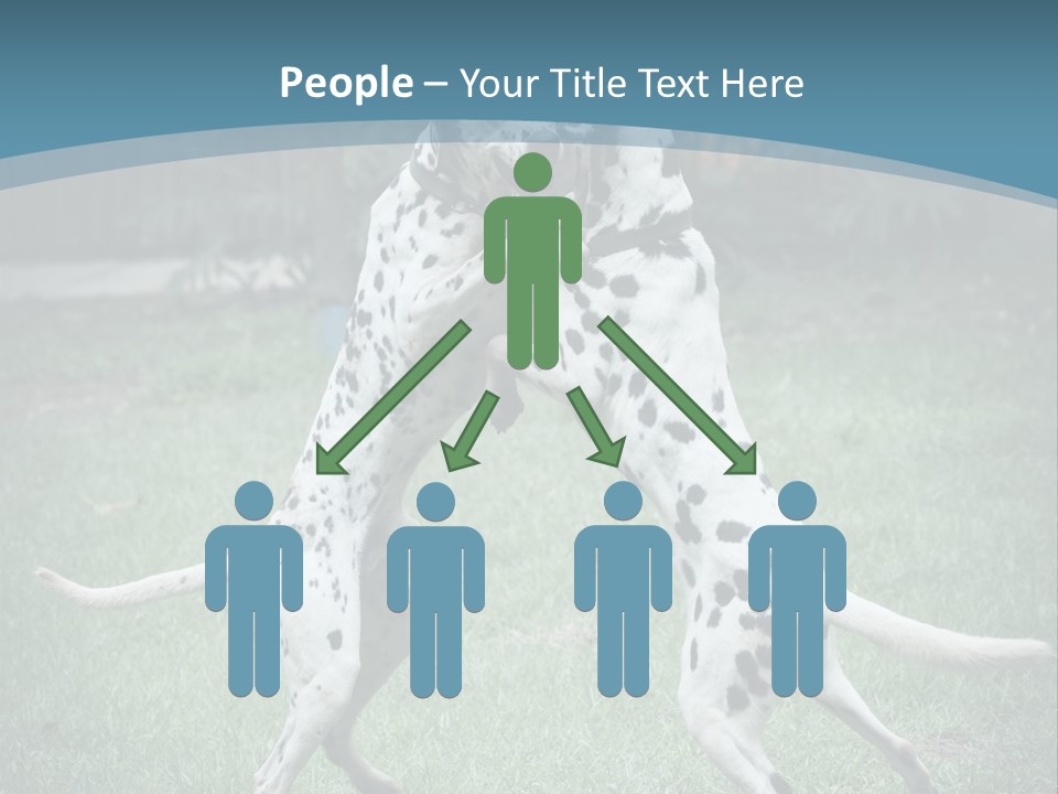 Two Dalmatian Dogs Playing With Each Other In The Grass PowerPoint Template