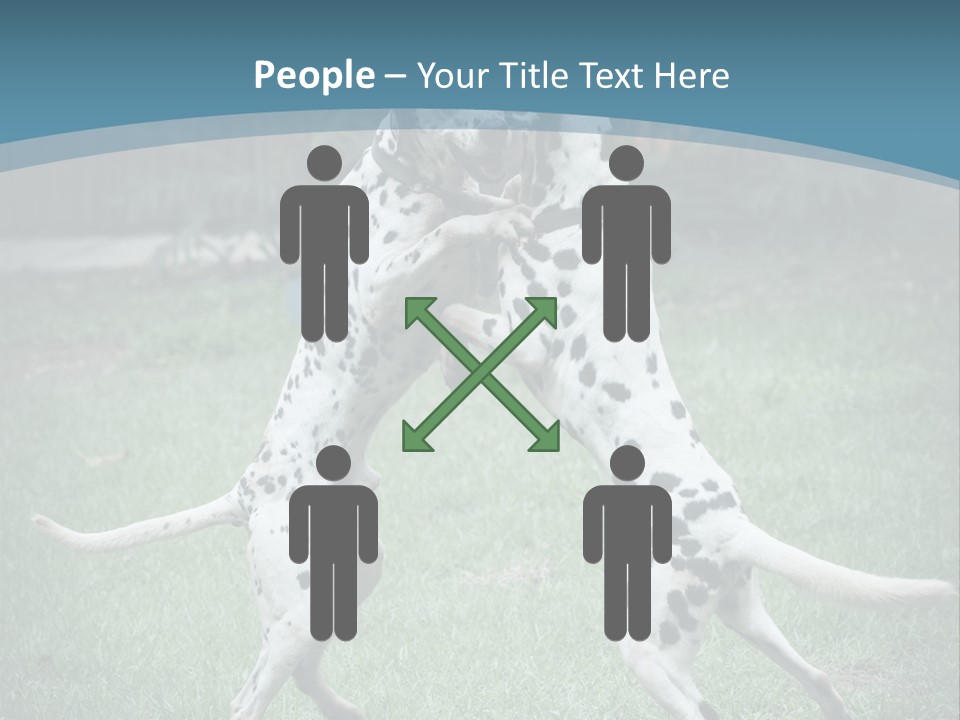 Two Dalmatian Dogs Playing With Each Other In The Grass PowerPoint Template