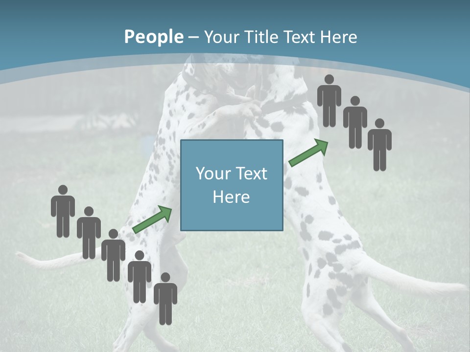 Two Dalmatian Dogs Playing With Each Other In The Grass PowerPoint Template
