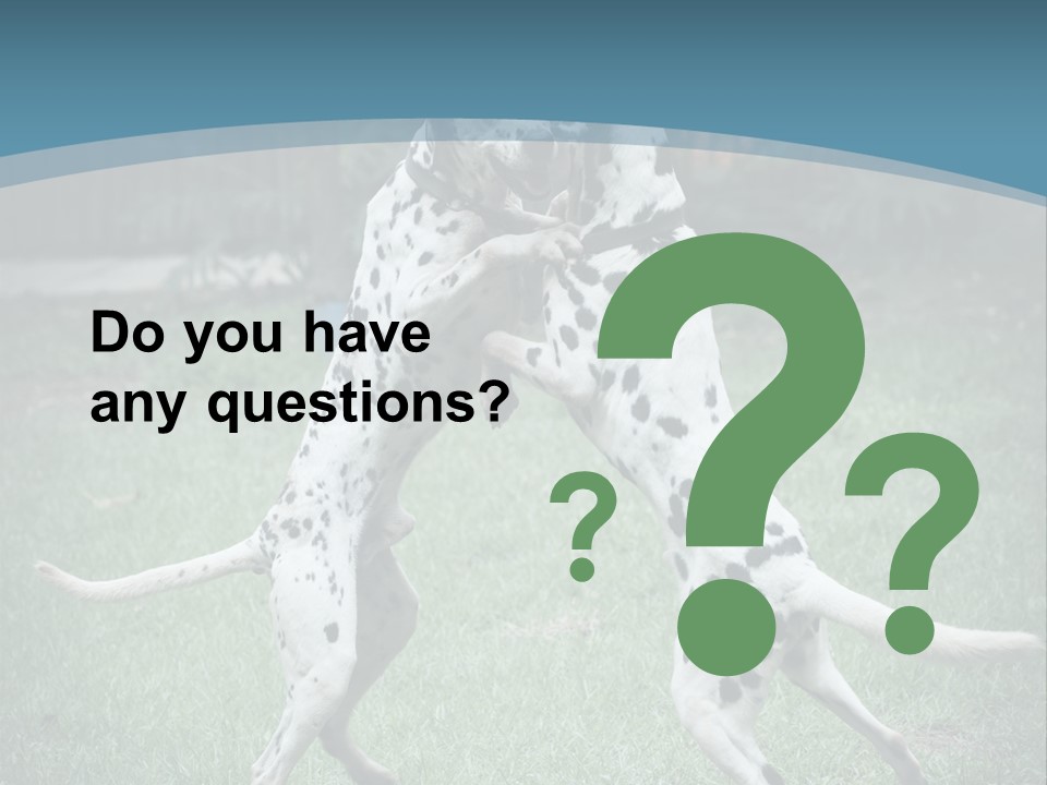 Two Dalmatian Dogs Playing With Each Other In The Grass PowerPoint Template