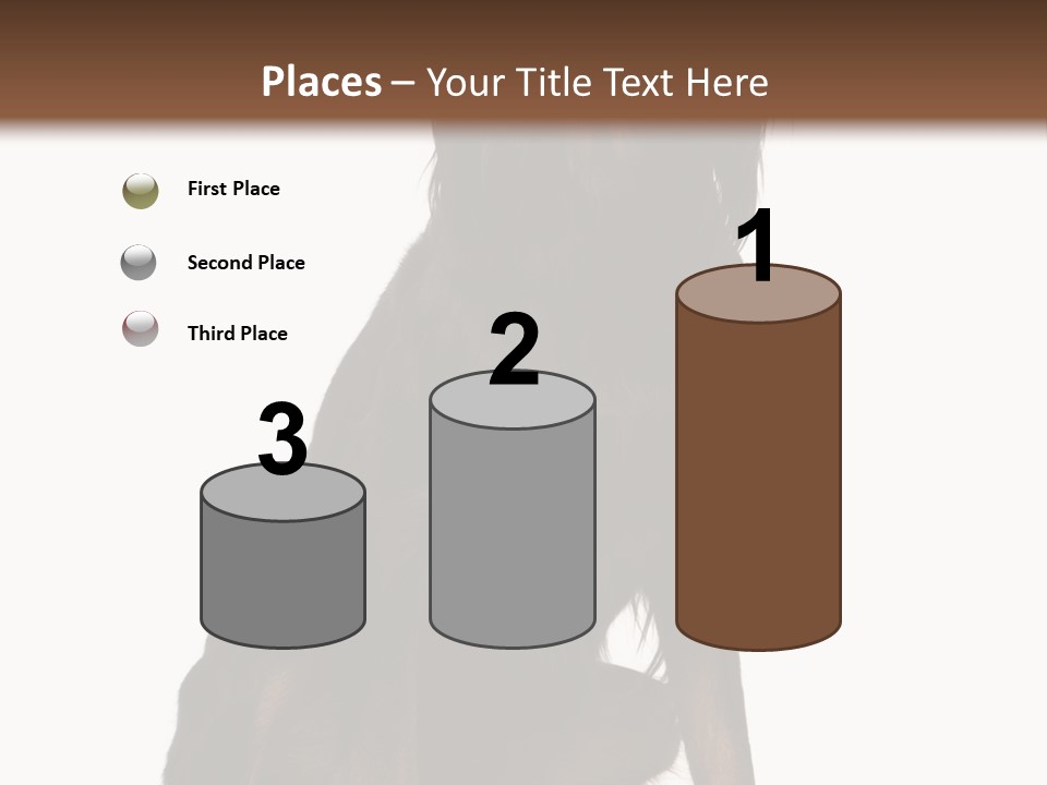 A Black And Brown Dog Is Sitting Down PowerPoint Template