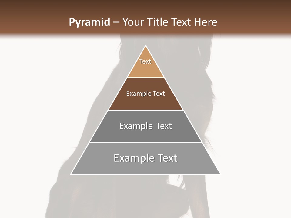 A Black And Brown Dog Is Sitting Down PowerPoint Template