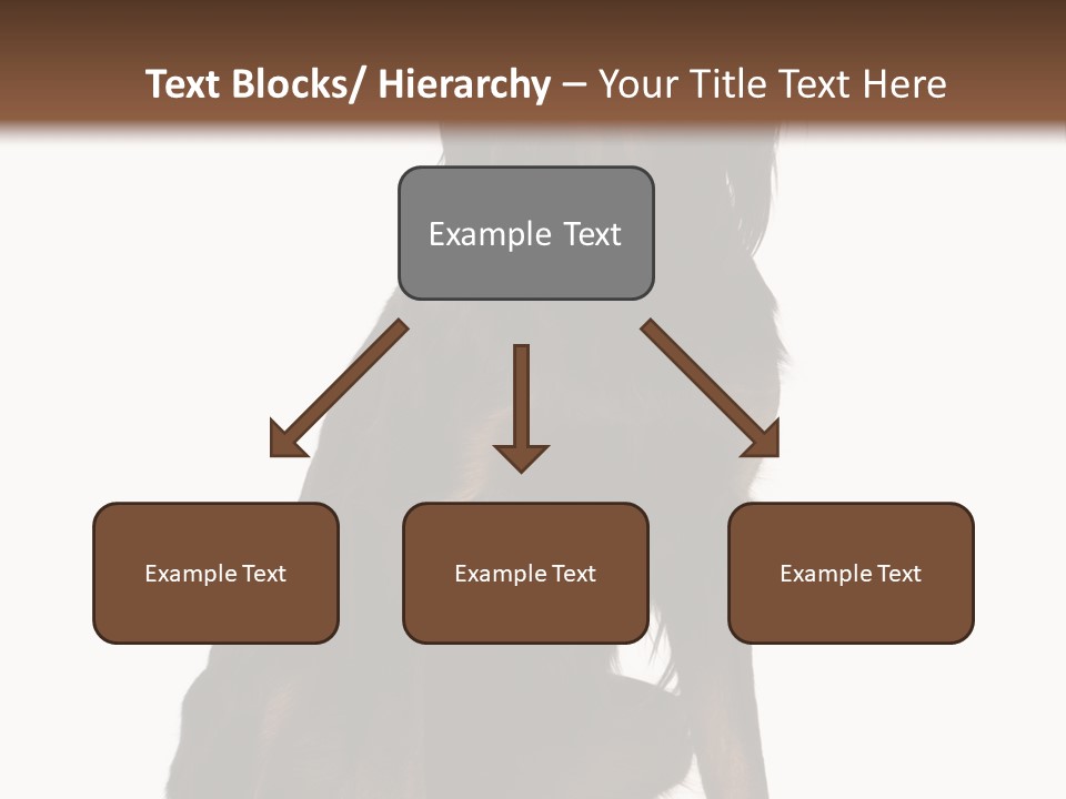 A Black And Brown Dog Is Sitting Down PowerPoint Template