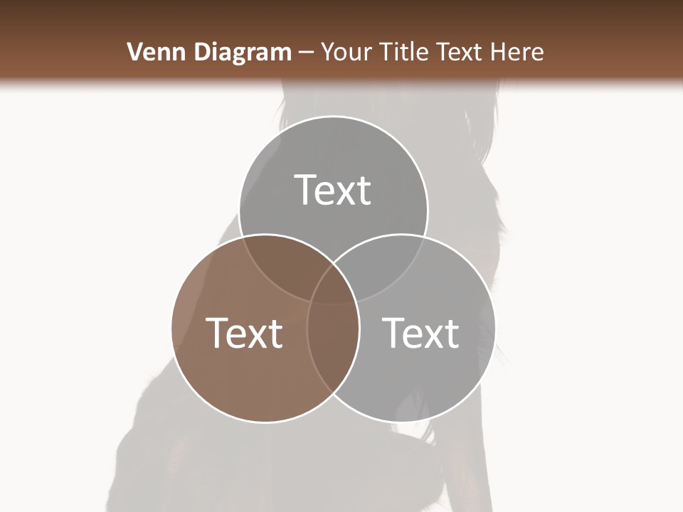 A Black And Brown Dog Is Sitting Down PowerPoint Template