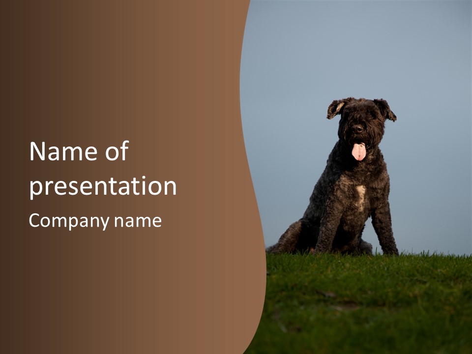 A Black Dog Sitting On Top Of A Lush Green Field PowerPoint Template