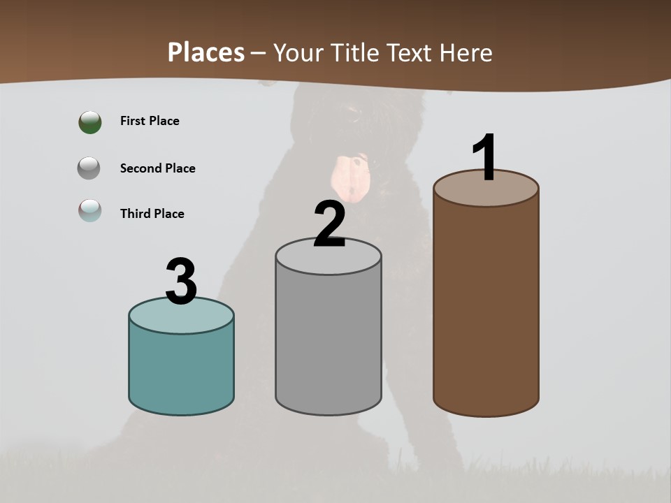 A Black Dog Sitting On Top Of A Lush Green Field PowerPoint Template