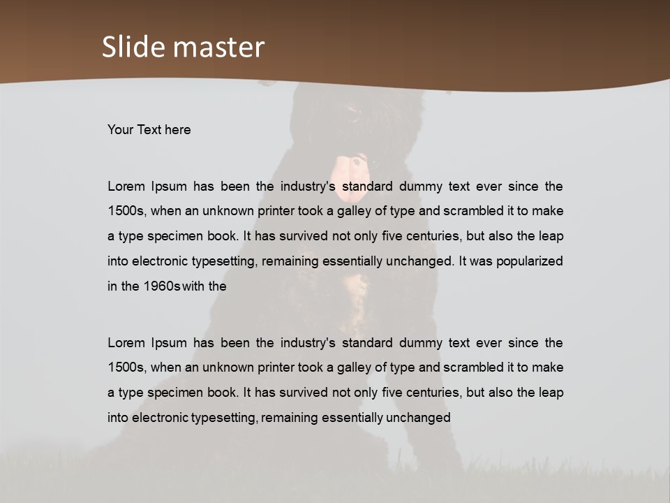 A Black Dog Sitting On Top Of A Lush Green Field PowerPoint Template