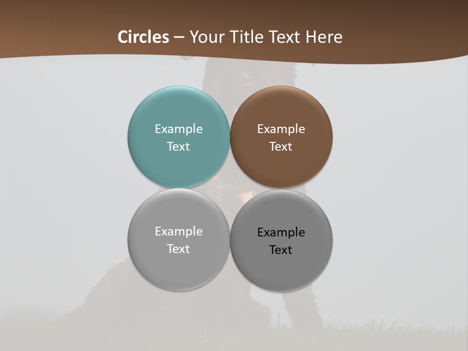 A Black Dog Sitting On Top Of A Lush Green Field PowerPoint Template