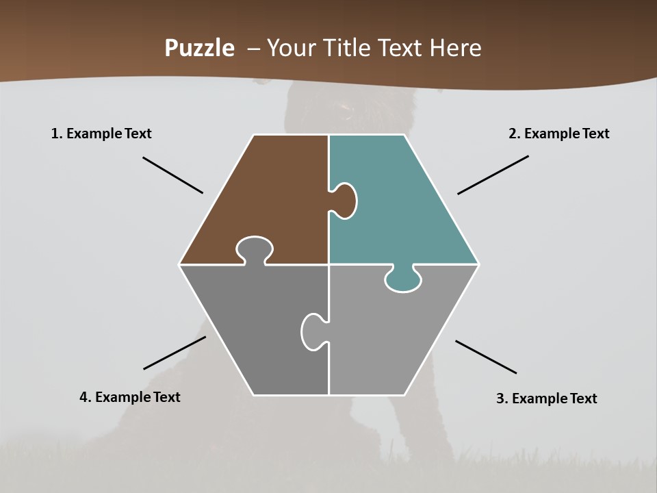 A Black Dog Sitting On Top Of A Lush Green Field PowerPoint Template