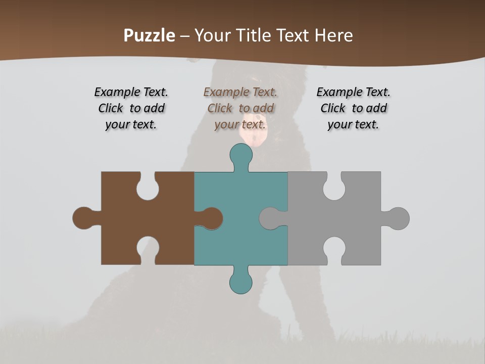 A Black Dog Sitting On Top Of A Lush Green Field PowerPoint Template