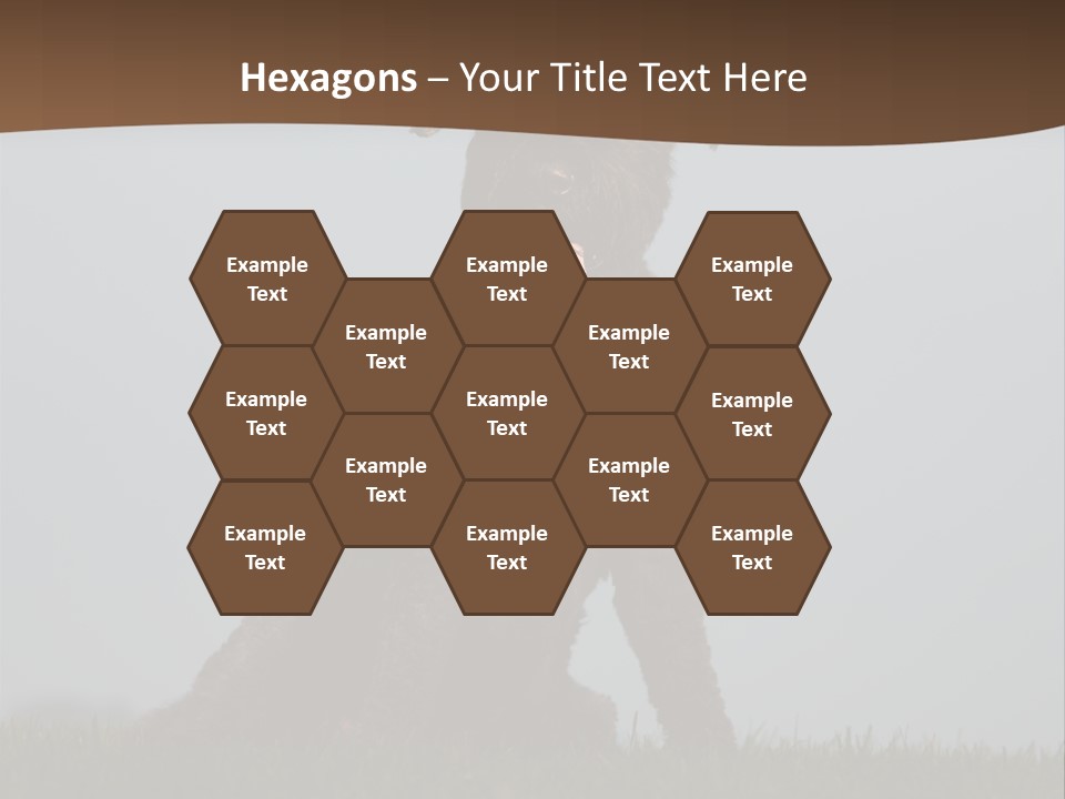 A Black Dog Sitting On Top Of A Lush Green Field PowerPoint Template