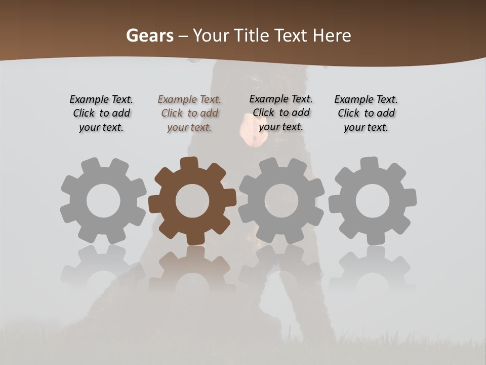 A Black Dog Sitting On Top Of A Lush Green Field PowerPoint Template