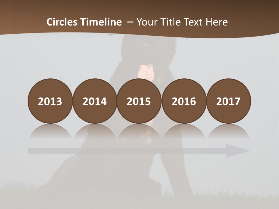 A Black Dog Sitting On Top Of A Lush Green Field PowerPoint Template