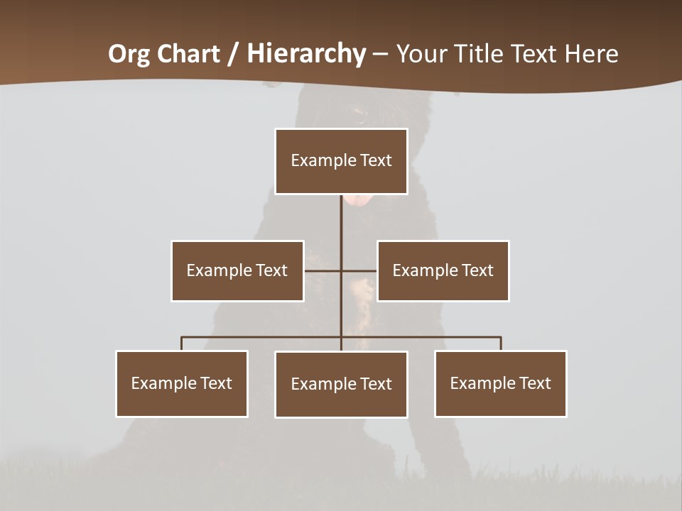 A Black Dog Sitting On Top Of A Lush Green Field PowerPoint Template