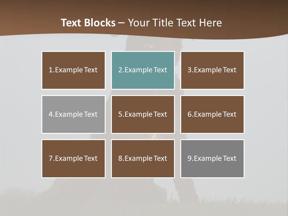 A Black Dog Sitting On Top Of A Lush Green Field PowerPoint Template