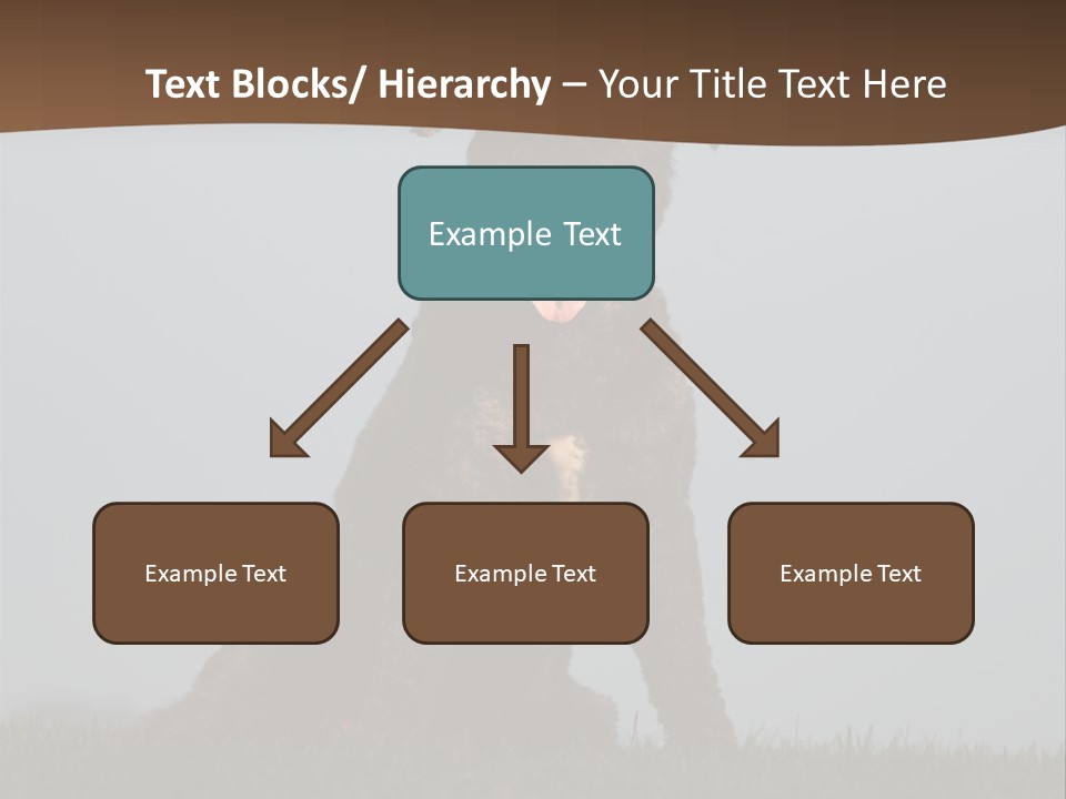 A Black Dog Sitting On Top Of A Lush Green Field PowerPoint Template