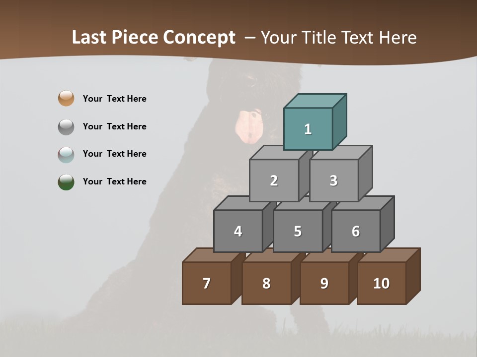 A Black Dog Sitting On Top Of A Lush Green Field PowerPoint Template