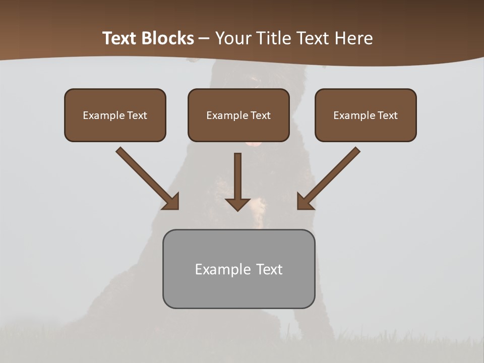 A Black Dog Sitting On Top Of A Lush Green Field PowerPoint Template