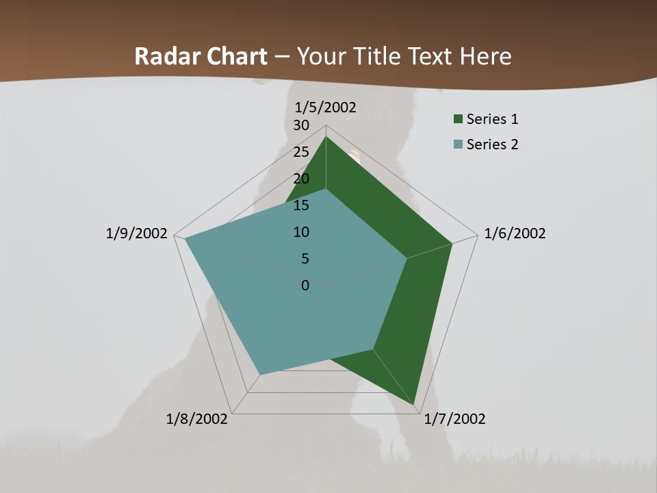A Black Dog Sitting On Top Of A Lush Green Field PowerPoint Template
